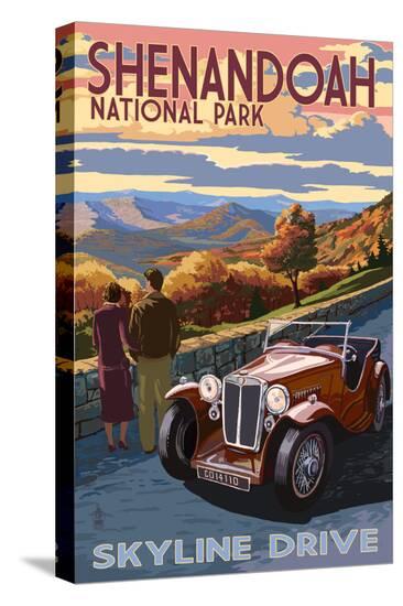 Stretched Canvas Print, , large