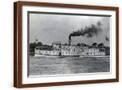 Brown Frame