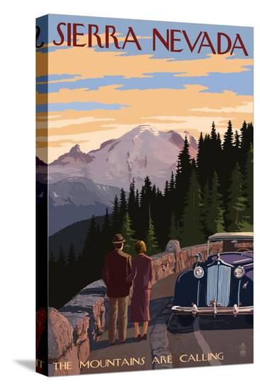 Stretched Canvas Print, , large
