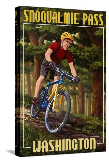 Stretched Canvas Print, , large