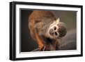 Black Frame