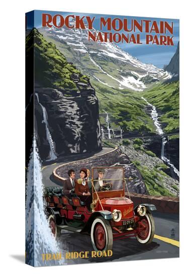 Stretched Canvas Print, , large