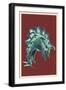 Black Frame