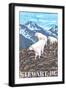 Black Frame