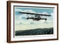 Brown Frame