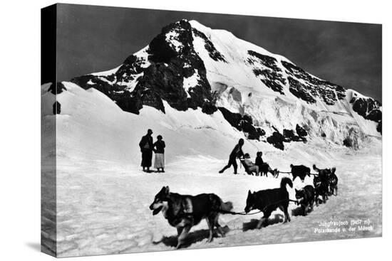 Stretched Canvas Print, , large