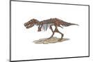 Wood Mount