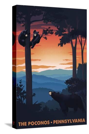 Stretched Canvas Print, , large