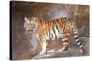 Stretched Canvas