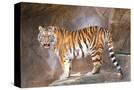 Stretched Canvas