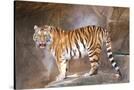 Stretched Canvas