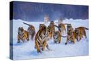 Stretched Canvas