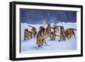 Black Frame
