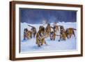 Brown Frame
