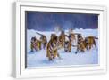 White Frame