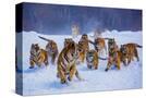 Stretched Canvas