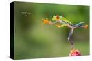 Stretched Canvas