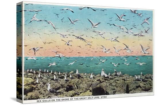 Stretched Canvas Print, , large