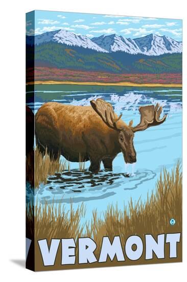 Stretched Canvas Print, , large