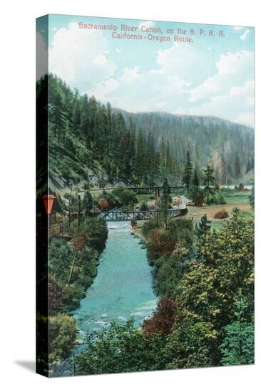 Stretched Canvas Print, , large