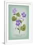 Gramercy White