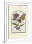 Gramercy White