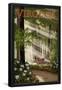 Essential Black