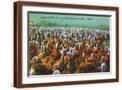 Brown Frame