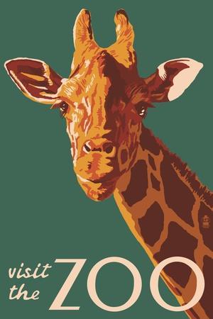 Visit the Zoo Lemur Wild Animals Park United States Advertisement Poster