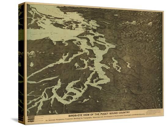 Stretched Canvas Print, , large