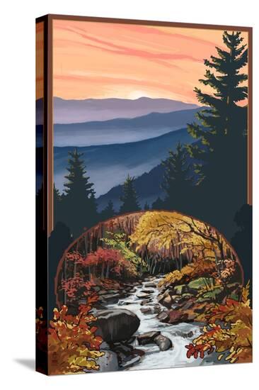 Stretched Canvas Print, , large