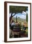 Brown Frame