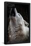 Essential Black