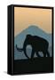 Canvas Black