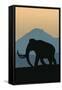 Canvas Black