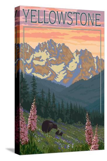 Stretched Canvas Print, , large