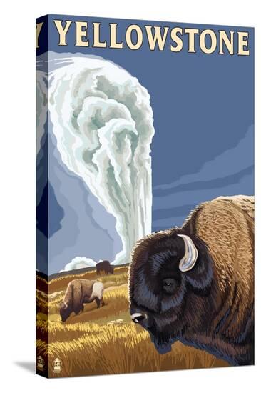 Stretched Canvas Print, , large