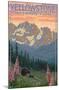 Lantern Press - Yellowstone National Park, Wyoming, Spring Flowers-Trends International-Mounted Poster