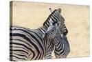 Stretched Canvas