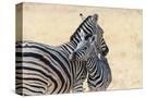 Stretched Canvas