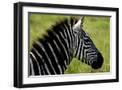 Black Frame