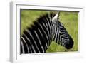 White Frame