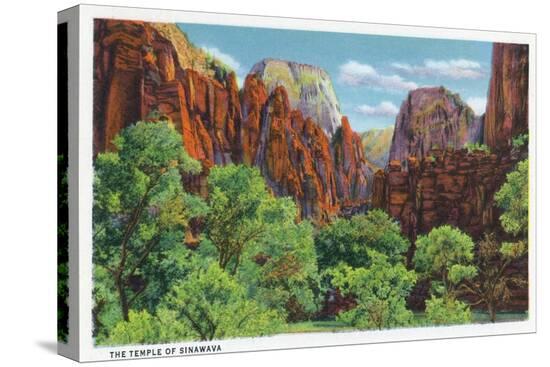 Stretched Canvas Print, , large