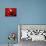 Lanterns at Chinese New Year, Philippines-Peter Adams-Photographic Print displayed on a wall