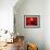 Lanterns at Chinese New Year, Philippines-Peter Adams-Framed Photographic Print displayed on a wall