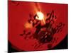 Lanterns at Chinese New Year, Philippines-Peter Adams-Mounted Photographic Print