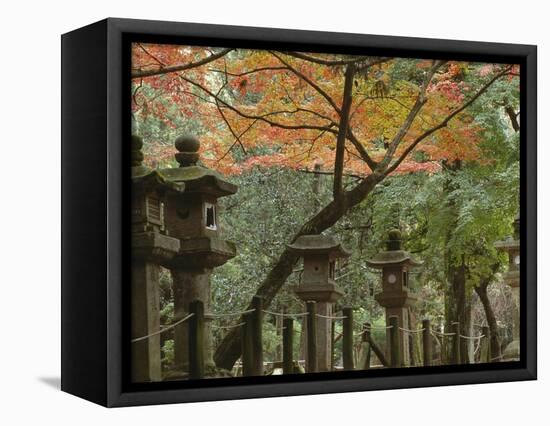 Lanterns at Kasuga Taishi Shine-Christophe Boisvieux-Framed Stretched Canvas