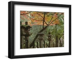 Lanterns at Kasuga Taishi Shine-Christophe Boisvieux-Framed Photographic Print