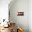 Lanterns at Man Mo Temple, Sheung Wan, Hong Kong Island, Hong Kong, China-Ian Trower-Photographic Print displayed on a wall