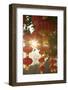 Lanterns in Lizhi Park, Shenzhen, Guangdong, China-Ian Trower-Framed Photographic Print